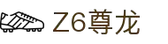 z6尊龙旗舰厅(中国)官方网站